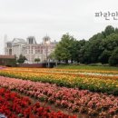 보스짬뽕 이미지