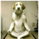 보컬트레이닝 이미지