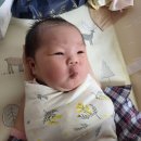 에스미산부인과 | 월간 당꽃 2506 (아기사진 많음주의)