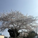 서광다방