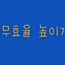 극대화 이미지
