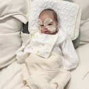 해룡빌딩(마음편한병원) | 레브블랑 50일 촬영 후기 인정조리원 연계 스튜디오