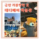 타임머신세계여행㈜ | 군산 가볼만한곳 테디베어 뮤지엄 군산 정보 후기! 군산 여행 필수코스 인정
