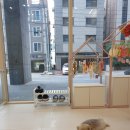 보람그루밍 이미지