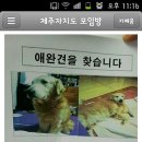 일도초등학교 이미지