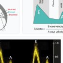 래플즈동물병원 이미지