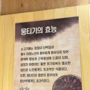 소는누가키워 이미지