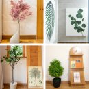 숲튜디오 이미지