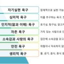 노멀크러시 이미지