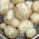 죽곡농장 이미지