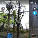 오늘 미미가 간 곳 정확한 위치 이미지