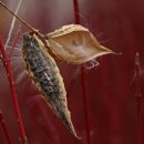 수원-1898 이미지