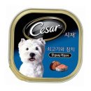 시저
