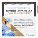 더프라임동물의료원 이미지