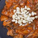 용두시장 | “청량리 쭈꾸미 투어🔥 나정순 할매쭈꾸미 vs 전농동 용두쭈꾸미 솔직 비교