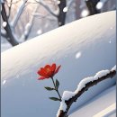 100세의료기 이미지