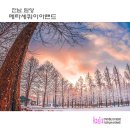 메타세쿼이아랜드 이미지