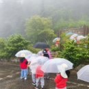 예원숲어린이집 이미지