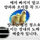 2023년 6월/10,11(토,일) 건강을 위해 이것만은 기본적으로 이미지