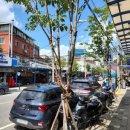 뚝도시장 1번 이미지