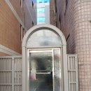 도성초 이미지