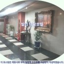고려관광호텔 | 서울 여행객 필독 발리 관광호텔 솔직 후기 서울 호텔 추천