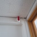 하단중학교 이미지