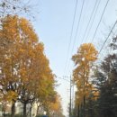 만의골로 이미지