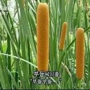 키즈다쿵 - 순천시 신대4길 4-57 | 키즈다쿵