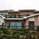 아지랑냉이랑 이미지