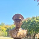 장군이네 이미지