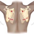 천지원헬스 이미지