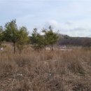 상당근린공원 이미지