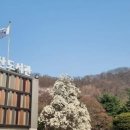 금화작은도서관 이미지