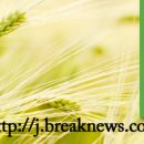 국립종자원전북지원 이미지