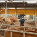 가대축산 이미지