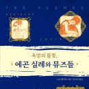 헤이독 이미지