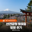 별별상상공원(역후공원) | 도쿄 근교 후지산 아라쿠라야마 센겐 공원 벚꽃 3시간 대기 포기 후기