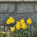 자산동167 이미지