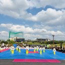 충효태권도(성성교육관) 이미지