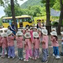 💚 숲체험 - 애벌레 나들이 💚2 이미지