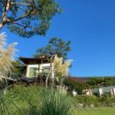 카페구르미 이미지