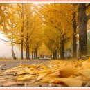 내가낚시터 이미지