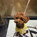 유한동물병원 이미지