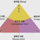 사랑의 삼각형 이론 이미지