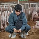 가교축산 이미지