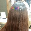 진례미용실 이미지