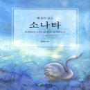 삼호 이미지