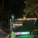 남망산 디지털파크 | 통영 야경 명소 디피랑 후기｜미디어아트 데이트 코스 추천 🌙