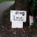 숲속농원숲속의아침2